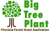 The Big Tree Plant Grant Application