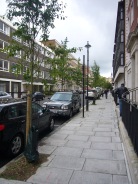 Beaumont Street, Marylebone now planted with 14 Amelanchier trees