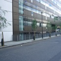 New W1W Trees around Cavendish Campus of University of Westminster